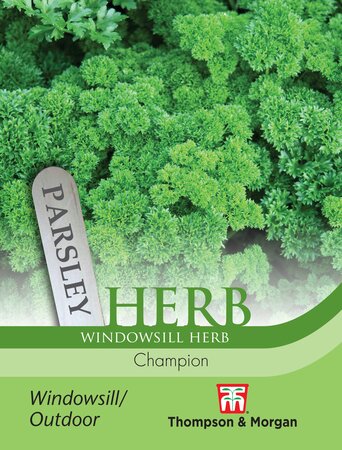 Parsley - Champion - Thompson and Morgan Seed Pack - image 1