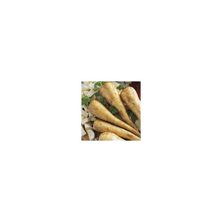 Parsnip Tender And True Kings Seeds