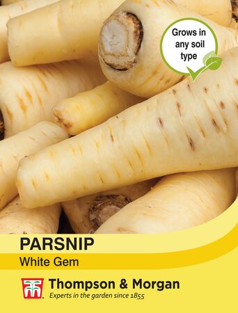 Parsnip - White Gem - Thompson and Morgan Seed Pack - image 1