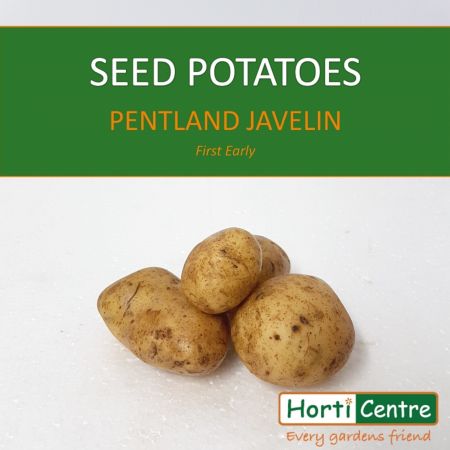Pentland Javelin Scottish Seed Potatoes 1.5Kg