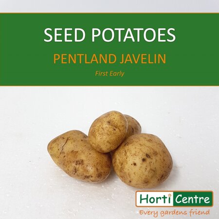 Pentland Javelin Seed Potatoes Xmas 1Kg