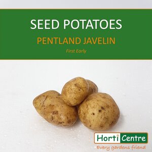 Pentland Javelin Seed Potatoes Xmas 1Kg