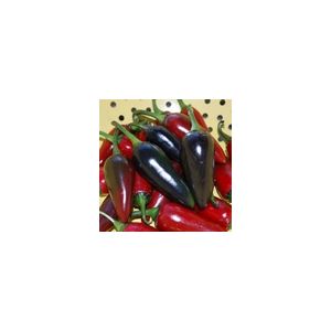 Pepper Hungarian Black Kings Seeds