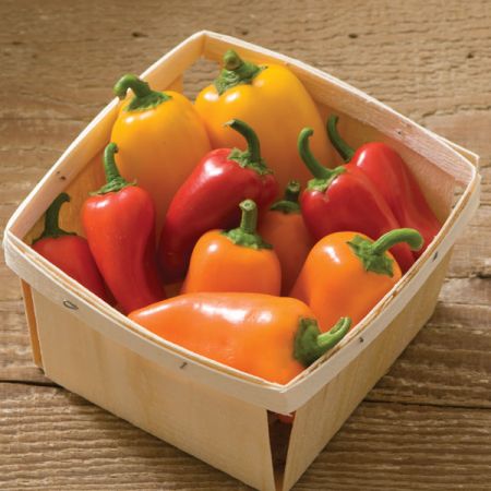 Pepper, Sweet Lunch Box Mix Kings Seeds