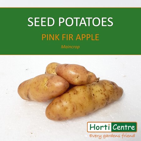 Pink Fir Apple Scottish Seed Potatoes 20Kg