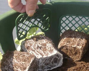 Plantopia Growers Basket 14" - image 2