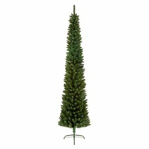 Premier Pencil Pine 200cm