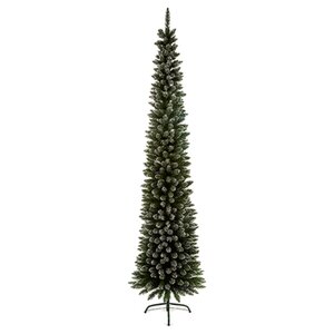 Premier Snow Tipped Pencil Pine 200cm