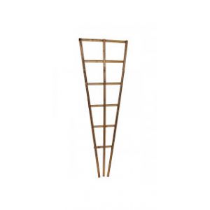 Prestige Wooden Fan Trellis 120Cm H X 50Cm W