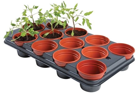 Professional Growing Tray 12x11cm Pots - image 2