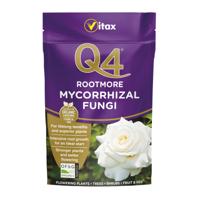Q4 Rootmore Mycorrhizal Fungi 250g