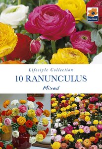Ranunculus Mixed - 10 Bulb Pack