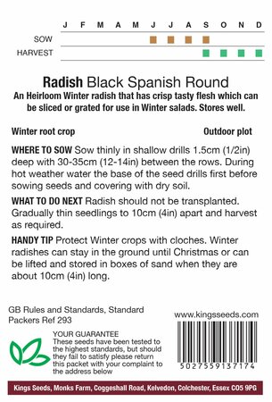 Rasdish - Black Spanish Round - Kings Seeds - image 2