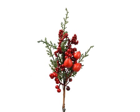 Red Big Berry Clip on Decoration - image 2