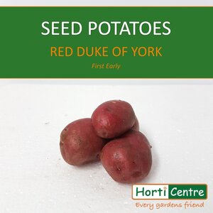 Red Duke Of York Scottish Seed Potatoes 1.5Kg