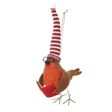 Robin Reading Book With Tall Stripy Hat