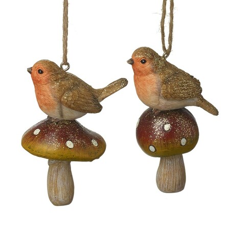 Robins On Mushrooms Mix