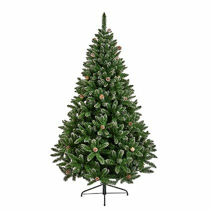 Rocky Mountain Pine 180cm