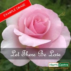Rose Let There Be Love