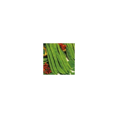 Runner Bean Butler Kings Seeds