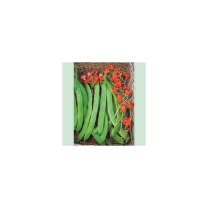 Runner Bean Lady Di Kings Seeds