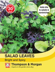 Salad Leaves - Bright and Spicy - Thompson and Morgan Seed Pack - image 1