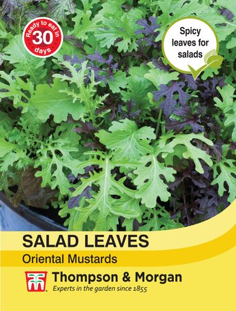 Salad Leaves - Oriental Mustards - Thompson and Morgan Seed Pack - image 1