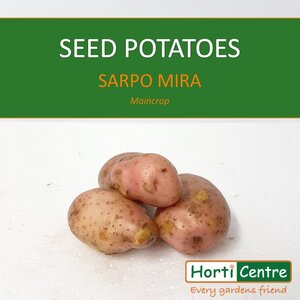 Sarpo Mira Scottish Seed Potatoes 1.5Kg
