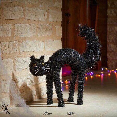 Scaredy Cat Halloween Decoration