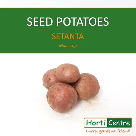 Setanta Scottish Seed Potatoes 20Kg