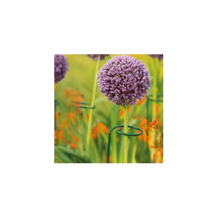 Single Stem Support 60cm Pack Of 3 - image 1
