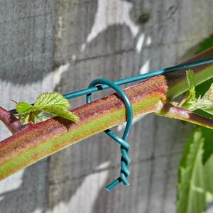 Smart Garden Heavy Duty Garden Wire 3.5mm X 25m - image 2