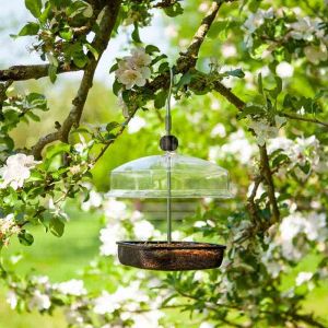 Smart Garden Mealworm & Suet Feeder