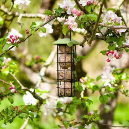 Smart Garden Twist Top Suet Ball Seed Feeder 20Cm