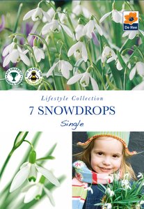 Snowdrops - Single - 7 Pack