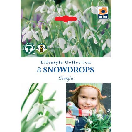 Snowdrops - Single - 8 Pack