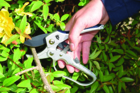 Spear & Jackson Compact Ratchet Secateurs - image 2