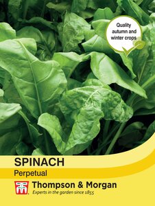 Spinach - Perpetual - Thompson and Morgan Seed Pack - image 2
