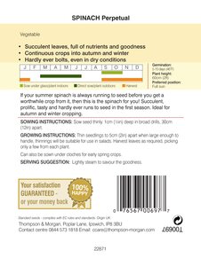Spinach - Perpetual - Thompson and Morgan Seed Pack - image 2