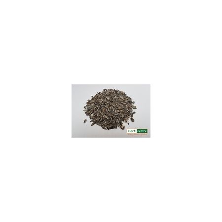 Striped Sunflower Seeds 1 Kg