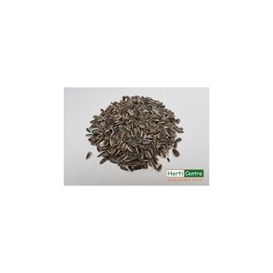 Striped Sunflower Seeds 1 Kg