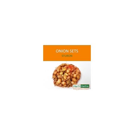 Sturon Onion Sets 500G - image 1