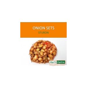 Sturon Onion Sets 500G - image 1