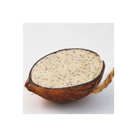 Suet Filled Half Coconut