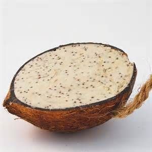 Suet Filled Half Coconut