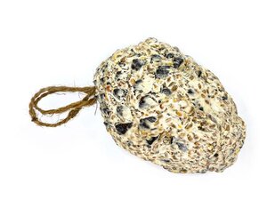 Suet & Seed Hanging Pine Cone
