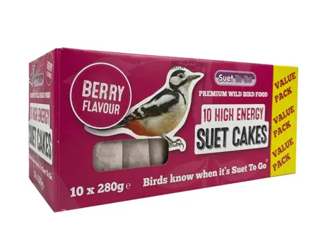 Suet To Go Berry & Bugs Suet Blocks 10 Pack