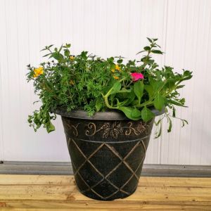 Summer Mixed Large Planted Pot £29.99