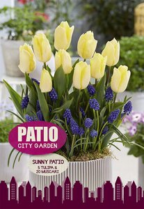 Sunny Patio 25 Bulb Pack