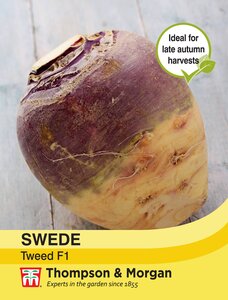 Swede - Tweed F1 - Thompson and Morgan Seed Pack - image 1